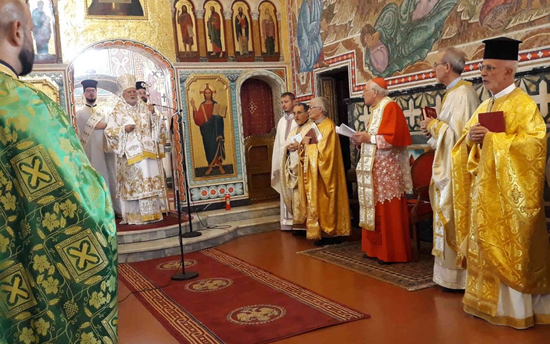 Dia Diocesano pela Custódia da Criação – Eparquia de Lungro, Calábria