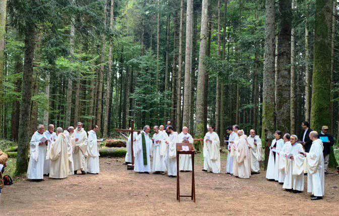 Dia da Criação: Cântico na floresta de Camáldoli