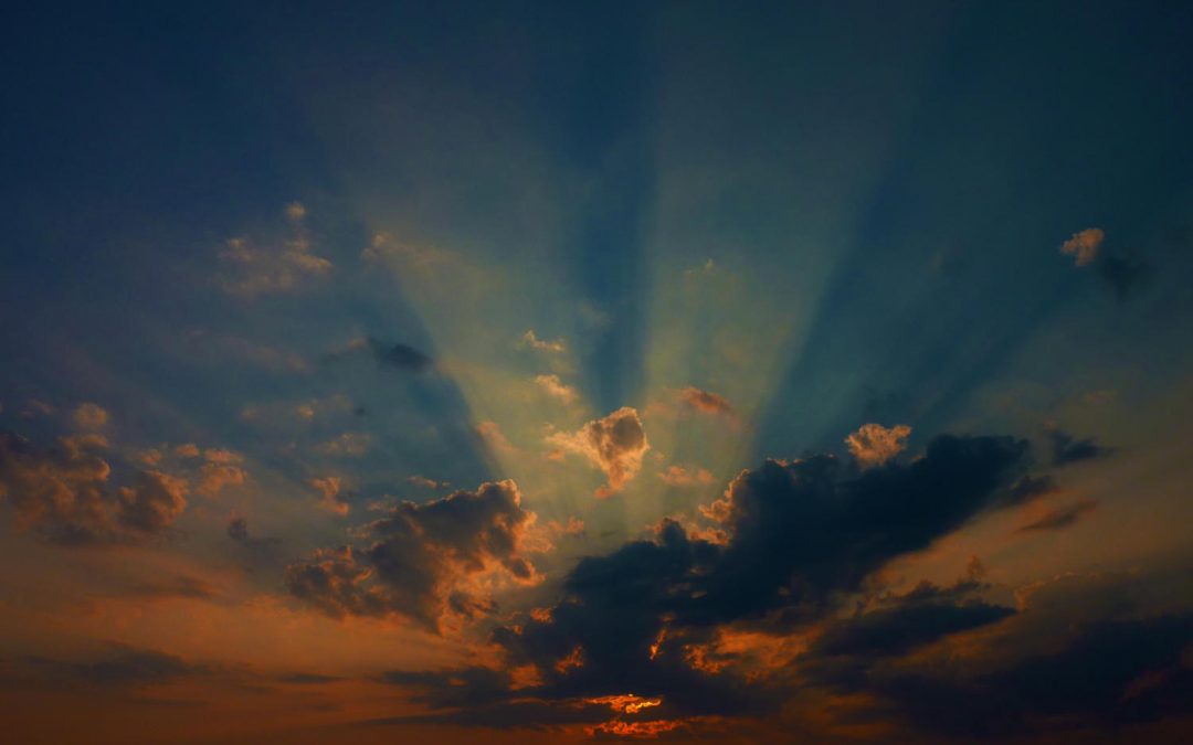Experts inspire hope for 2020 Season of Creation