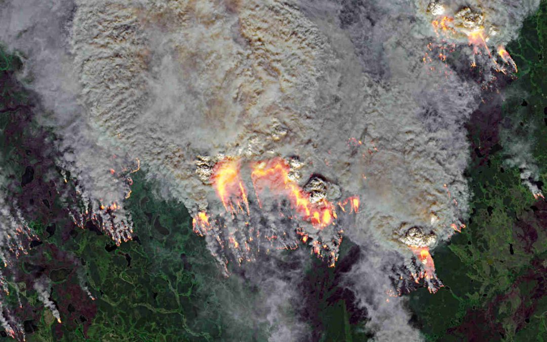 Ascoltiamo il grido dell’Artico in vista del Tempo del Creato