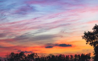 Orthodox Church year begins with call to take action for creation