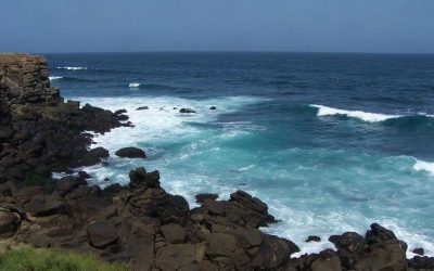 Caring for the integrity of creation