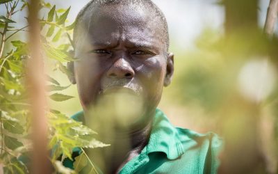 Cameroon: Protect environment, create employment