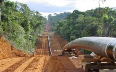 EACOP: the worrisome project encroaching African beauty