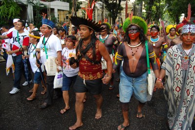 El expolio agrícola y el proselitismo agudizan los graves riesgos que enfrenta la Amazonia