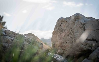 Laudato Si’ anniversary offers ‘a way forward through caring for the planet and one another’