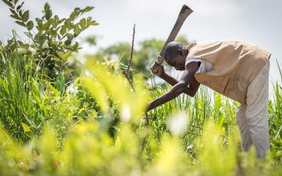 Celebrating a ‘Jubilee for the Earth’