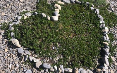 Youth lead prayers to open Season of Creation
