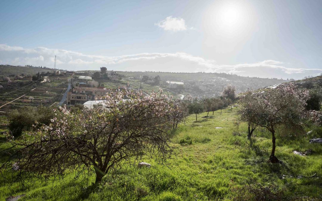 Global celebration urges ‘radically new ways of living’ to protect our common home