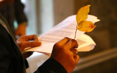 WCC -Prayer service to open 2021 Season of Creation: “A Home for All? Renewing the Oikos of God”