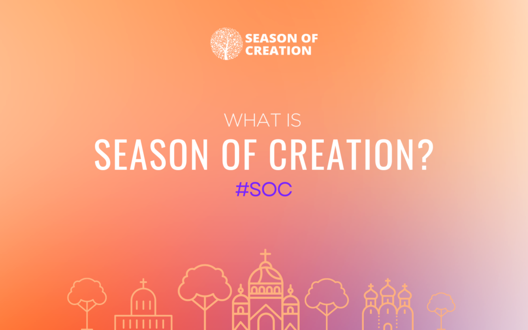 O que é o Tempo da Criação?